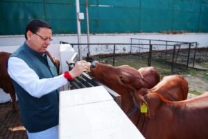 मुख्यमंत्री ने गौशाला में गोवर्धन पूजा के अवसर पर गौमाता की पूजा-अर्चना कर प्रदेश की खुशहाली, समृद्धि और जन कल्याण की कामना की
