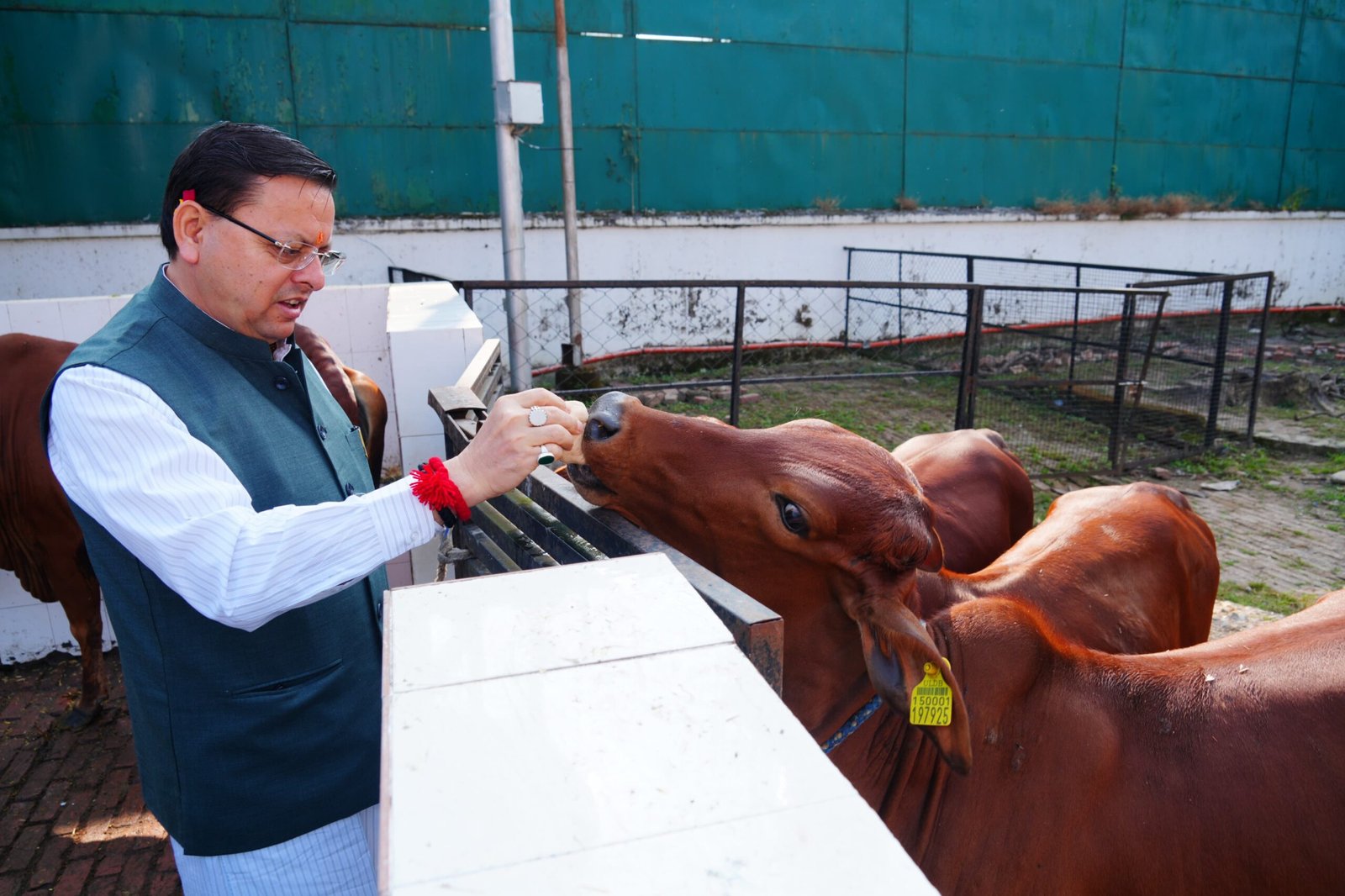 मुख्यमंत्री ने गौशाला में गोवर्धन पूजा के अवसर पर गौमाता की पूजा-अर्चना कर प्रदेश की खुशहाली, समृद्धि और जन कल्याण की कामना की