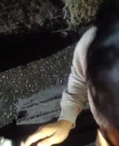 ज्वालापुर में झमाझम बारिश के साथ गिरे ओले, बच्चों के खिले चेहरे तो कही छाई चिंता की लकीरें