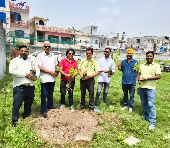 एनयूजे (उत्तराखंड) ने पौधारोपण कर मनाया हरेला पर्व, जिला सूचना अधिकारी को दी शुभकामनाएं
